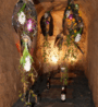Floristik im Höhler