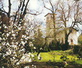 Botanischer Garten