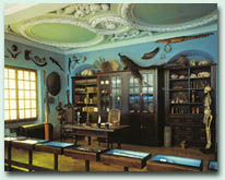 Gelehrtenzimmer um 1800